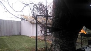 Украшаю коробку для пикника. Приготовление горячего вегетарианского обеда. Пью чай.