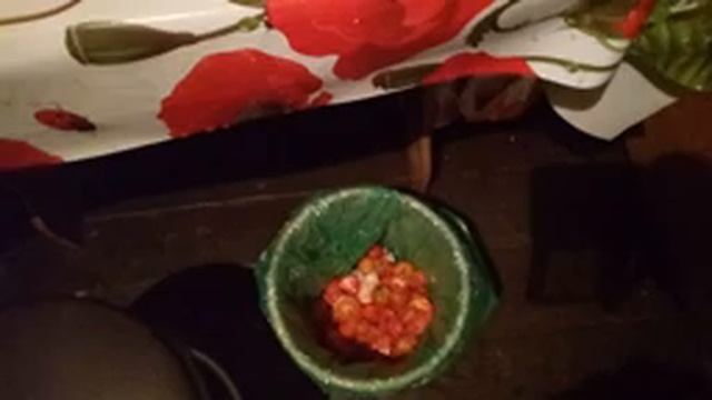 Back to school ОДЕЖДА для Дианы//КАНЦЕЛЯРИЯ//заморозка урожая помидор смотреть онлайн