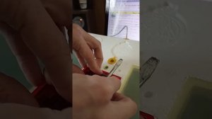 Устранение неисправности инкубатора РЯБУШКА Турбо. Выключается, затем через время включается