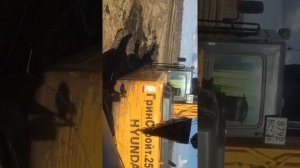 Разулся экскаватор Хёндай