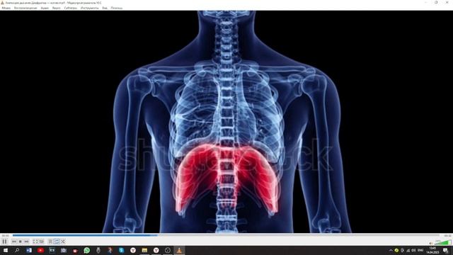 Движение ДИАФРАГМЫ. Мантра Эхнатона А А Н Н К К Х Х . смотреть онлайн