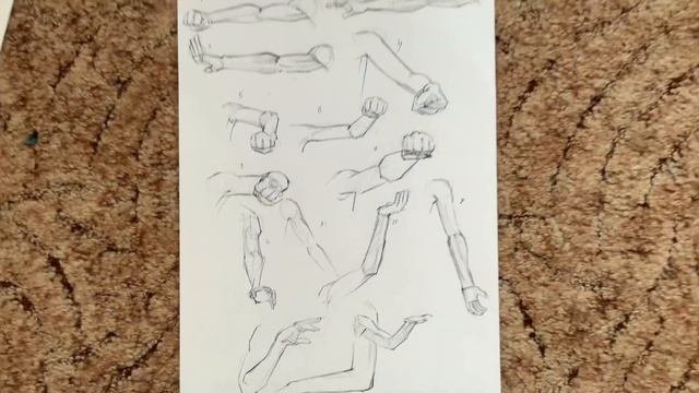 Анатомия человека | изучаю анатомию | мой способ изучения