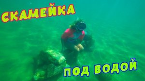 Степа и Ксюша построили скамейку препятствие под водой...