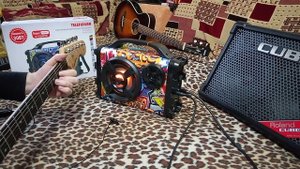 TELEFUNKEN TF-PS1255B магнитола с подключением микрофона и гитары за 2990 рублей. Стоит ли покупать