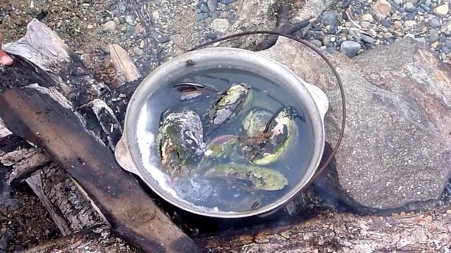 Предварительная подготовка мидий для плова смотреть онлайн