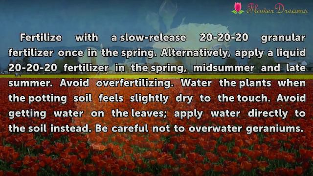 How to Care for Potted Geraniums смотреть онлайн