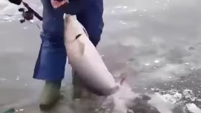 Рыбалка здорового человека