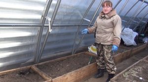 Подготовка земли в теплице