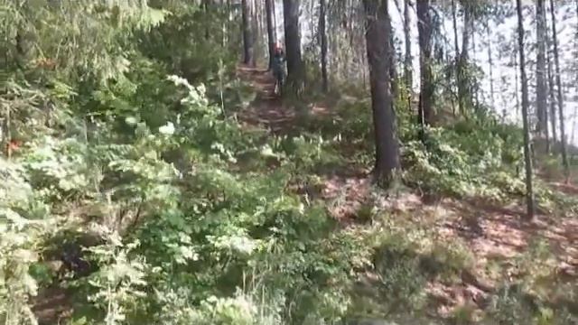 Смелее Вперёд - Однако смелая Автор музыки и исполнитель Аверьянов Сергей смотреть онлайн