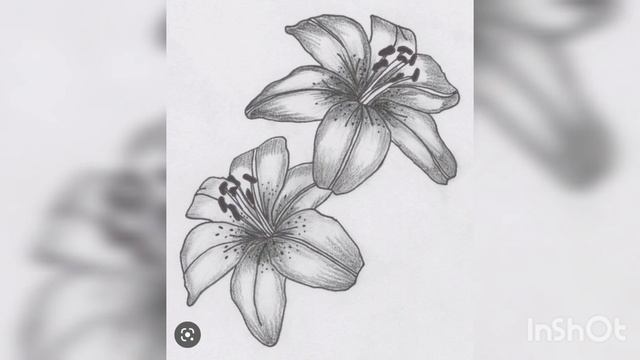 Касымалы Жантөшев