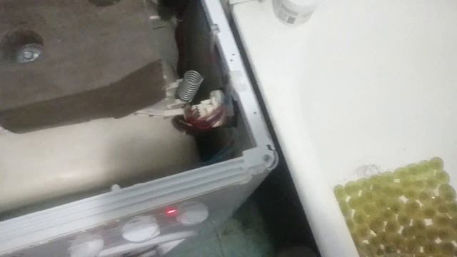 Indesit wisl 83 замена подшипников | Podkluchaem.by
