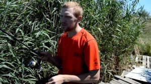 Ловля фидером на пруду: выбираем ароматику