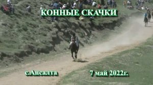 Анонс.Ежегодные конные скачки пройдут в с. Ансалта Ботлихского района