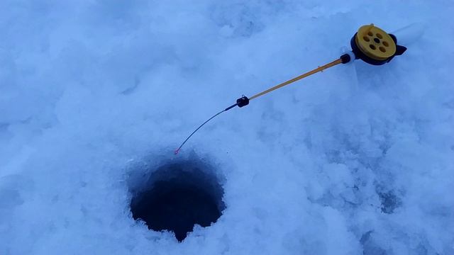 Весенняя рыбалка на мормышку.