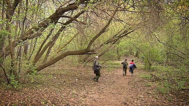 Герои Пермского периода. Валентин Миндовский смотреть онлайн