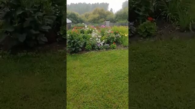 Прогулка по саду.????