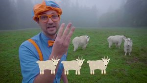Blippi esplora un parco faunistico | Blippi in Italiano | Video educativi per bambini