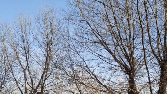 27 ноября праздник Филиппов день . Филипповка . Народные приметы и традиции