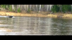 Алюминевая лодка Вятка 3,70 под ямахой 8