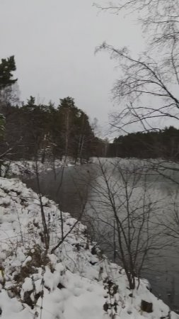 Чёрно-белая осень