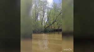 сплав по реке Урал 2023 год.