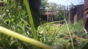 Прополка травы в труднодоступном месте вручную