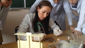 Физиология. Определение скорости оседания эритроцитов (СОЭ) по методу Панченкова