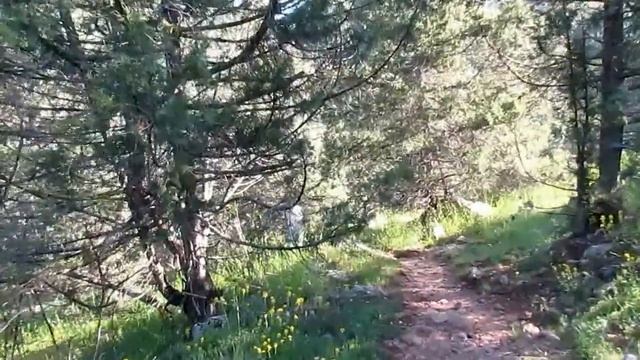Каньон Узунджа в Крыму.