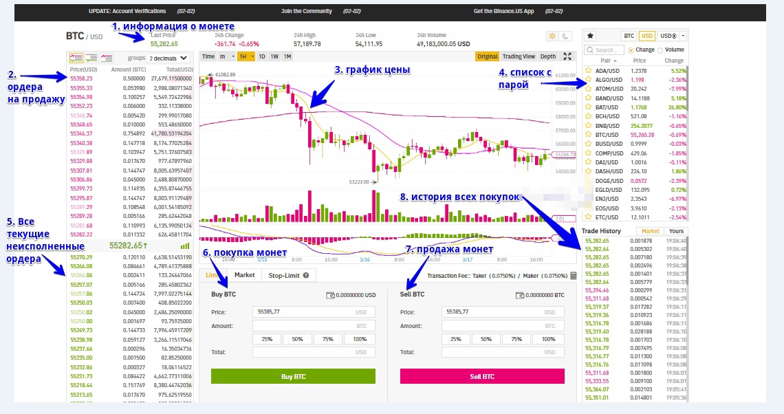 Алгоритм Трейдера Криптовалют. Junior Trader: Урок 1. Блок 1.