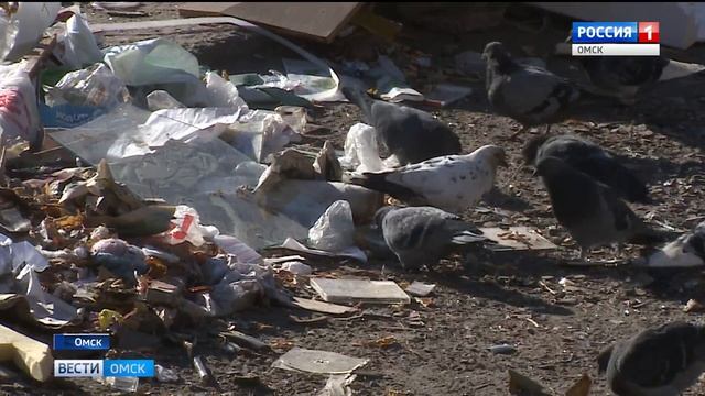 Вывоз мусора смотреть онлайн