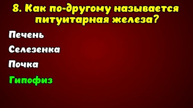 Интересная викторина с ответами #3. Насколько вы умны и эрудированы? смотреть онлайн
