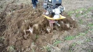 Мотоблок Каскад ,Фрезеровка прошлогодней вспашки.