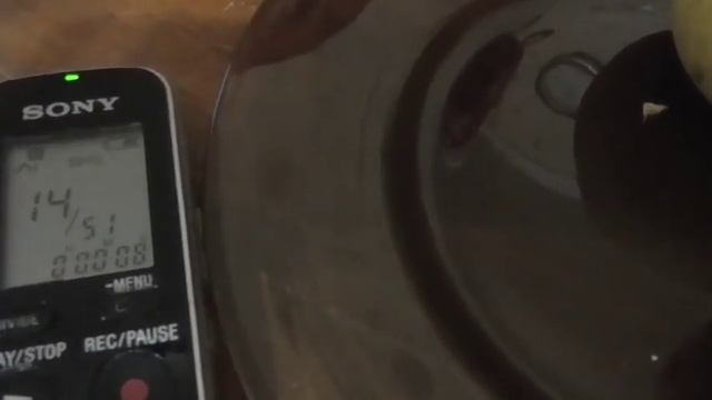 Ишим. Вместо бескорыстной помощи-прибыль от пострадавших смотреть онлайн