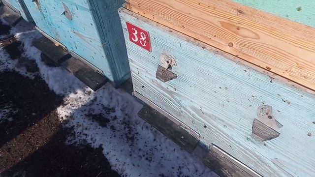 14 марта , уже неделю стоят морозы до - 37гр. смотреть онлайн