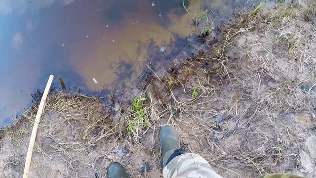 Оставили донки на той стороне, и там клюёт. смотреть онлайн