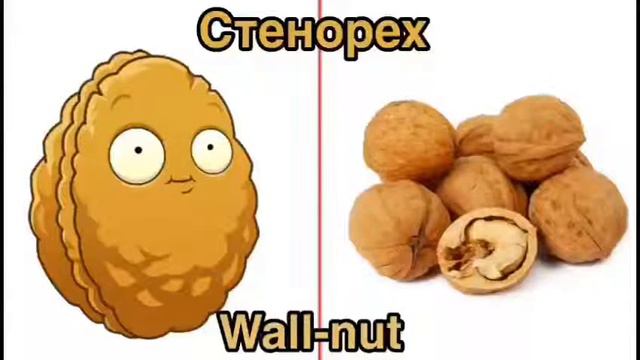 РАСТЕНИЯ PVZ 2 В РЕАЛЬНОЙ ЖИЗНИ! смотреть онлайн