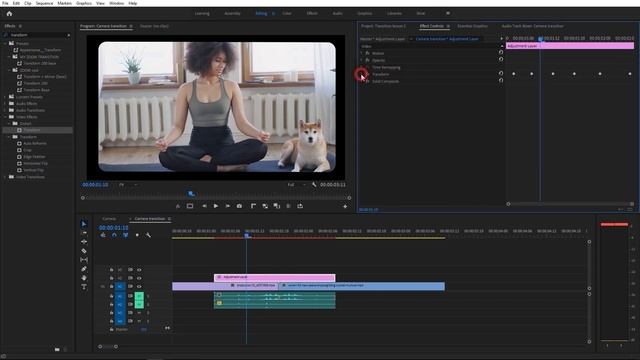 Как сделать CAMERA переход в Premiere Pro 2020