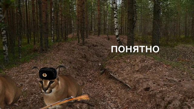 ВОЙНА В ШЛËПА ГРАДЕ 1 СЕРИЯ