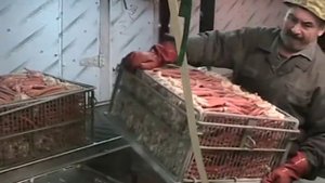 ЗАО "Рыболовецкий колхоз "Восток-1"