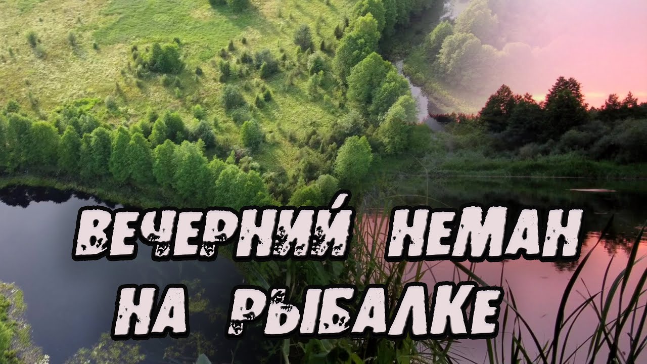 Река НЕМАН сьёмки с  DJI mini 2. Природа с высоты ПТИЧЬЕГО полёта.