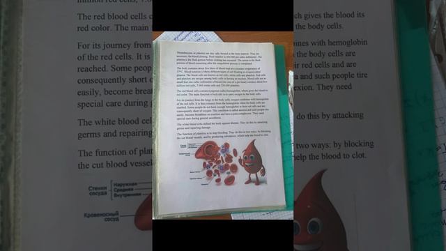 учеба жиза рекомендации