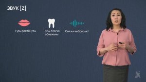 Видео 14.2. Артикуляция согласных звуков [s], [z]