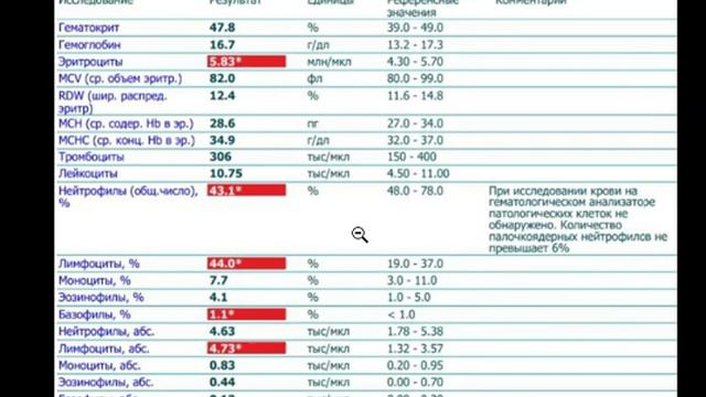 Запис 2019 08 16 06 25 12 695 смотреть онлайн
