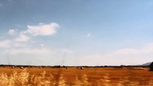 Blank & Jones with Mike Francis - Survivor (Official Video)