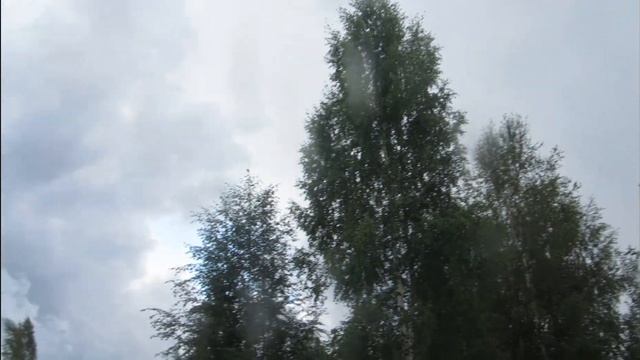 Дача 2021 г. Томаты - мои сорта. 1 августа - уборка чеснока и лука. смотреть онлайн