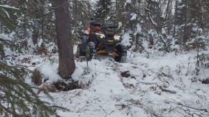 Китайский квадроцикл#прокладываю зимник через лес