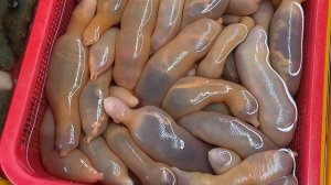 РЫНОК МОРЕПРОДУКТОВ В ЮЖНОЙ КОРЕЕ ПУСАН
