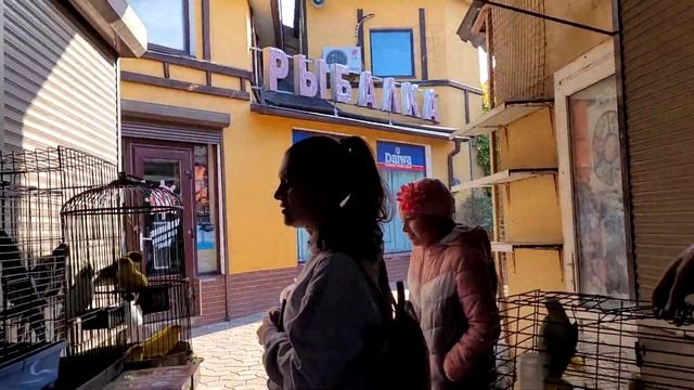 Птичий Рынок. Продажа Птицы, Крысы, Хомячки, Кролики. Староконный рынок в Одессе