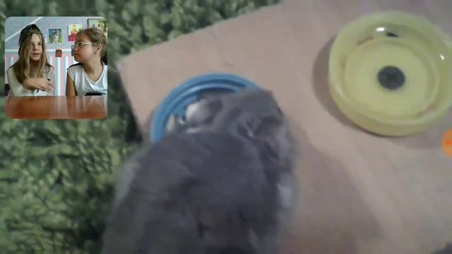 ДЕВОЧКА ИЗДЕВАЕТСЯ НАД ХОМЯКОМ??? Смотрим свои старые видеоролики. смотреть онлайн