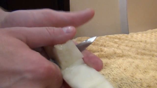 Cобака Кане Корсо любит кушать дыню. #canecorso смотреть онлайн